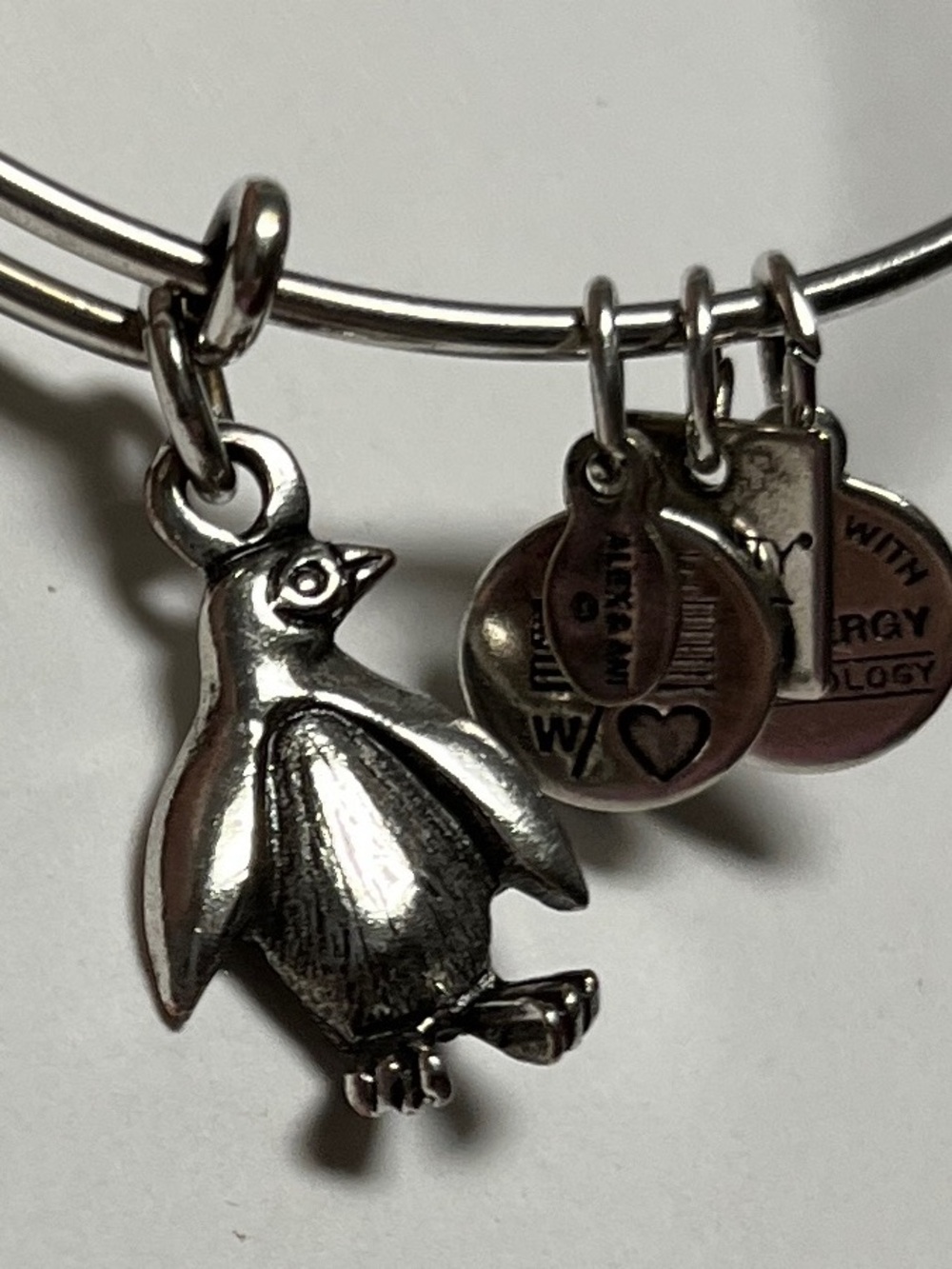 Alex and Ani Silver Penguin Charm Bangle with Heart and Tag Accents - Picture 4 of 5